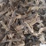 【文斌药业】地龙全开地龙段无泥头地道药材
