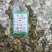 小驳骨一公斤包邮量大从优欢迎咨询