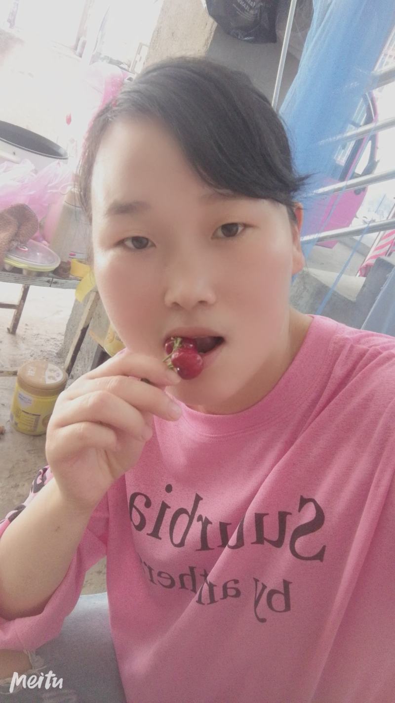 樱桃5~10mg大片樱桃园产地货源精品