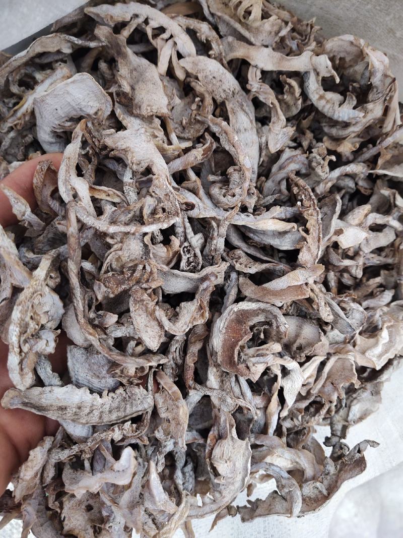 笋子，玉兰片，盐竹笋，笋片儿，