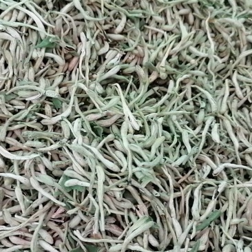 金银花干货一级精品，批发零售，需要的话可以联系我们133