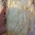 烤鱼片鳕鱼片小零食鲜甜口味！支持一件代发