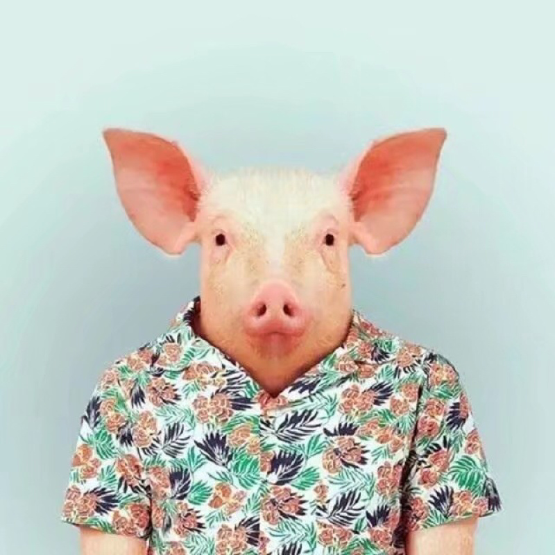 牛肉系列
