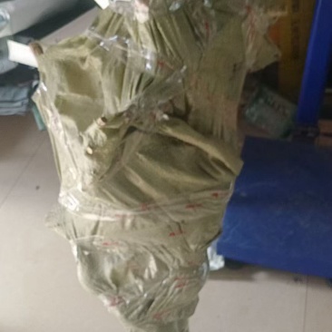 金银花干枯老桩～工艺品走起