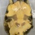 外套冷水池精品黑花黄花青花公甲鱼团鱼脚鱼水鱼现货挑选