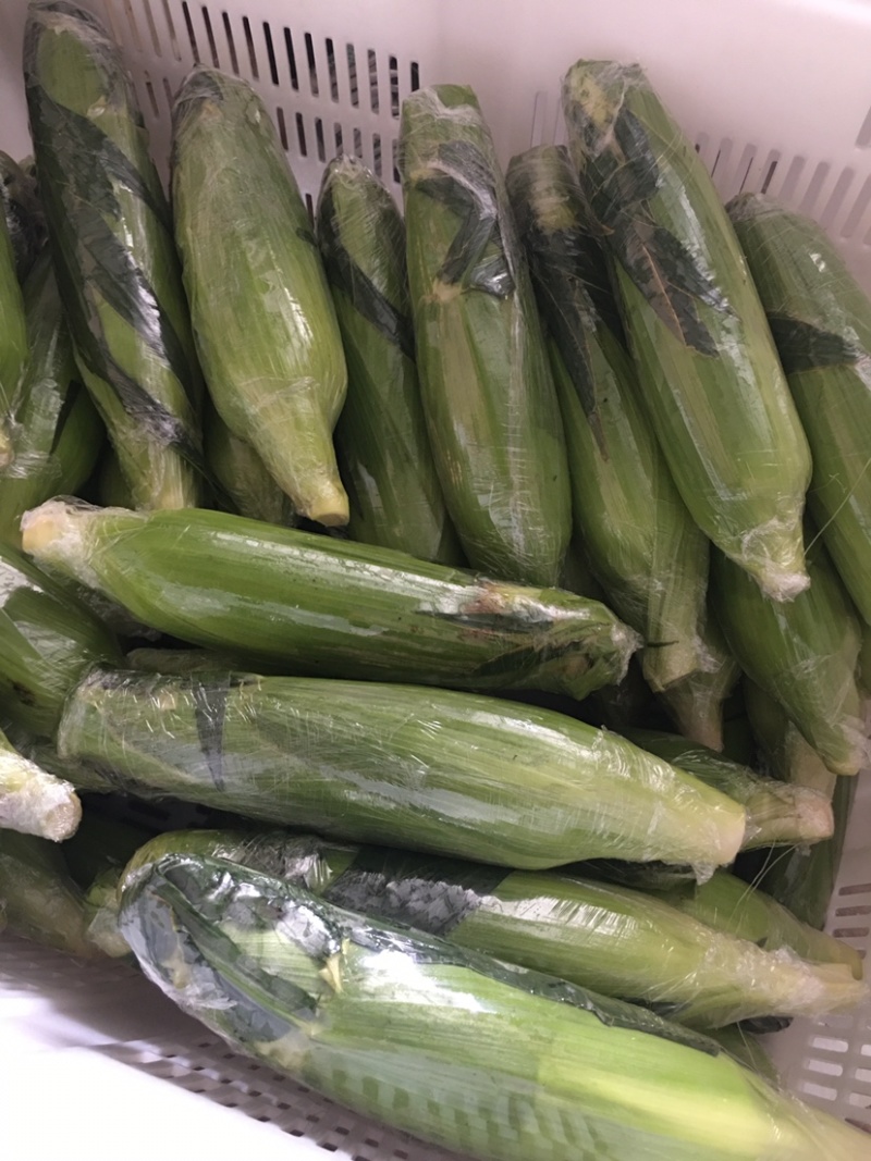 新鲜甜玉米水果玉米双色玉米鲜食玉米，一件代发，社区团购