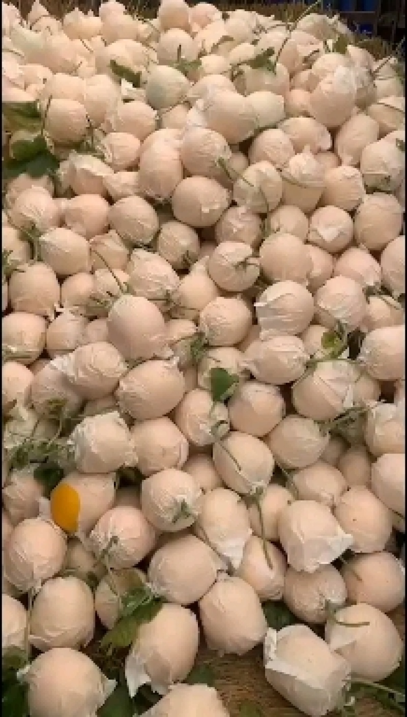 久红瑞