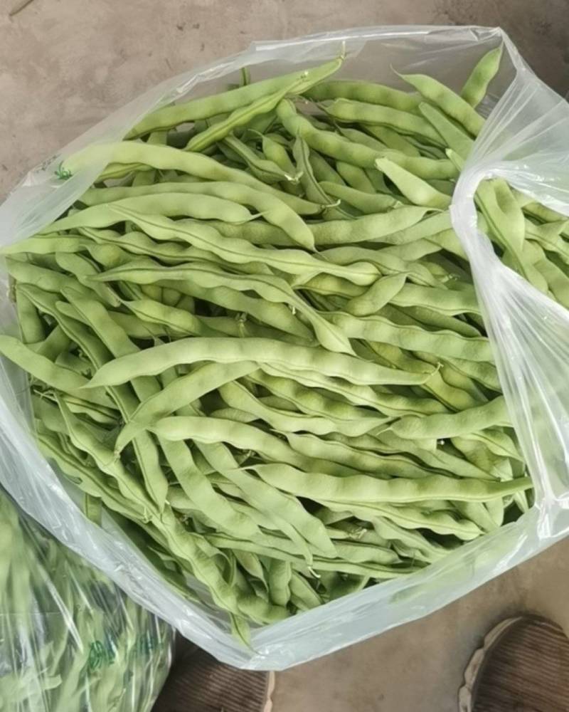 精品豆角