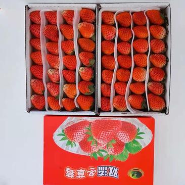（草莓）双流小红盒，十合一板装云南高原四季草莓蒙特瑞