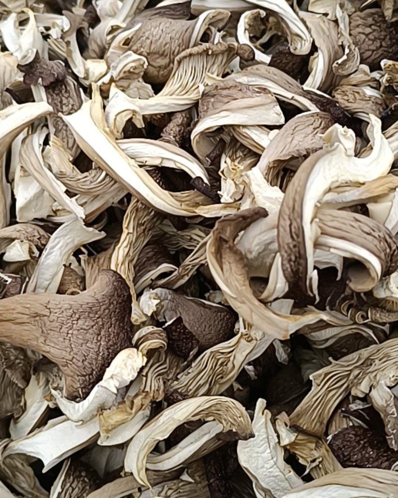 干平菇大量供应，价格美丽货源充足欢迎选购