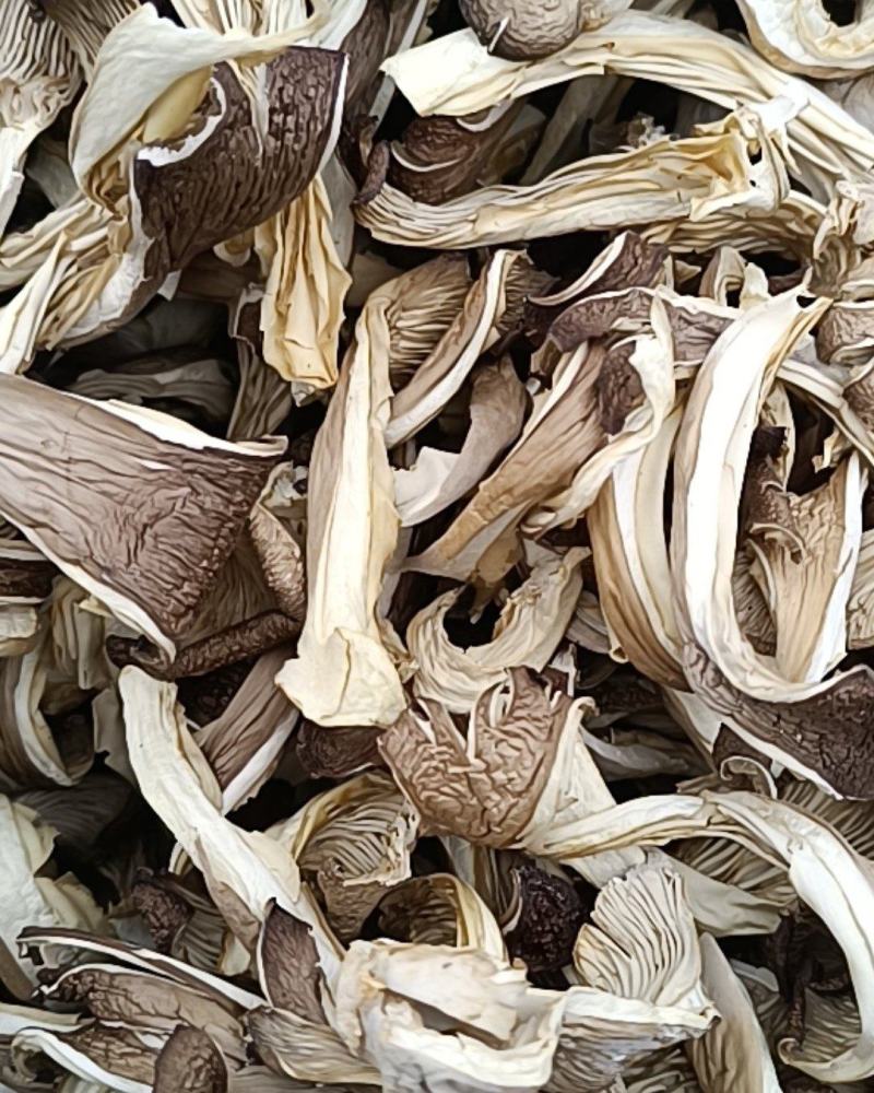 干平菇大量供应，价格美丽货源充足欢迎选购