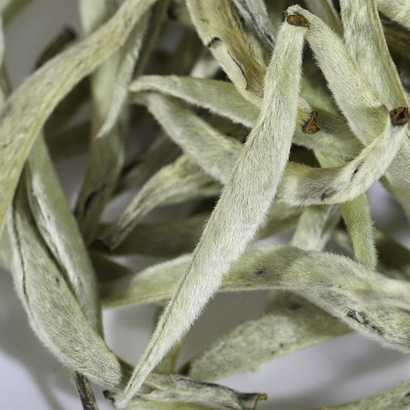 【**推荐】白毫银针月光白单芽头春大白毫普洱茶白茶