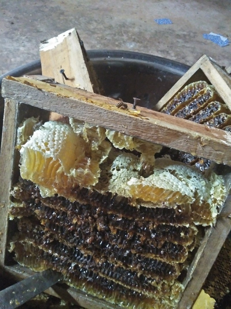 农家土蜂蜜瓶装蜂蜜正宗纯正百花蜜原汁原味自产自销房前屋