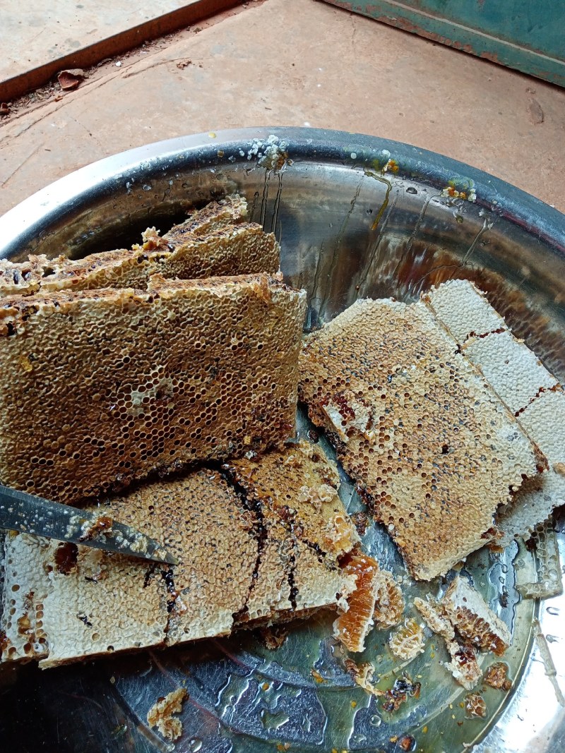 农家土蜂蜜瓶装蜂蜜正宗纯正百花蜜原汁原味自产自销房前屋