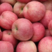 精品红富士苹果产地代收代存入库条纹片红脆甜好全国物流发货