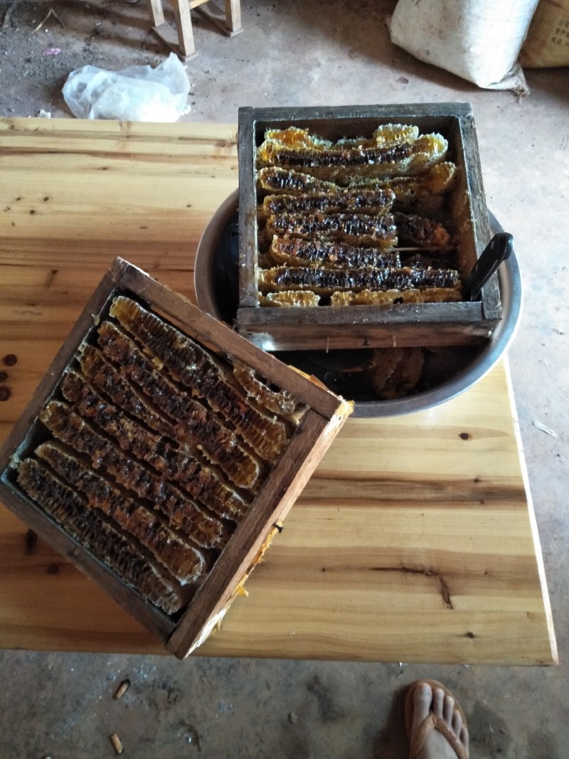 农家土蜂蜜瓶装蜂蜜正宗纯正百花蜜原汁原味自产自销房前屋
