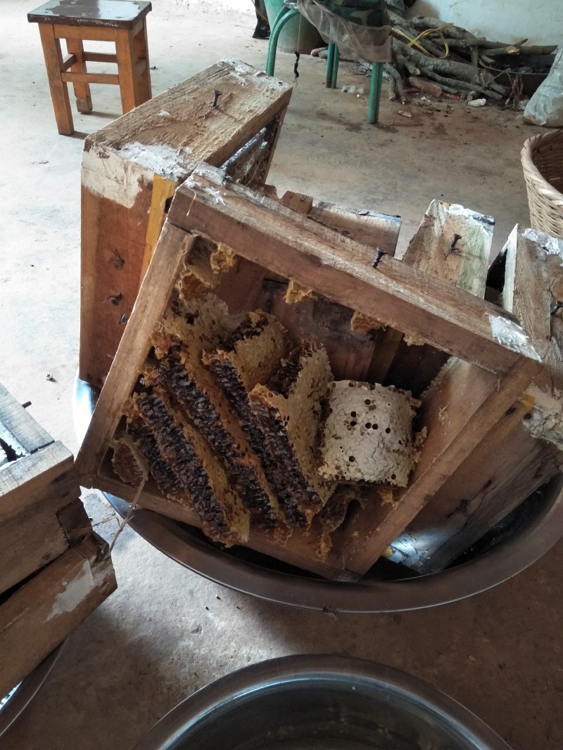 农家土蜂蜜瓶装蜂蜜正宗纯正百花蜜原汁原味自产自销房前屋