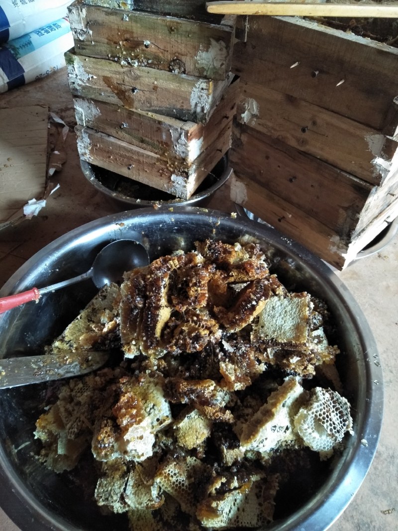 农家土蜂蜜瓶装蜂蜜正宗纯正百花蜜原汁原味自产自销房前屋