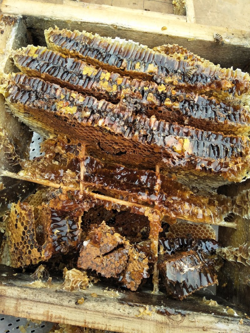 农家土蜂蜜瓶装蜂蜜正宗纯正百花蜜原汁原味自产自销房前屋