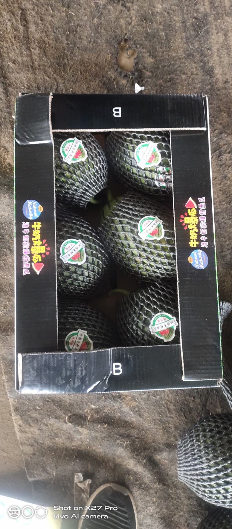 全美2K西瓜牛奶爆瓜手剥西瓜产地发包装齐全一条龙服务