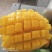 金煌芒