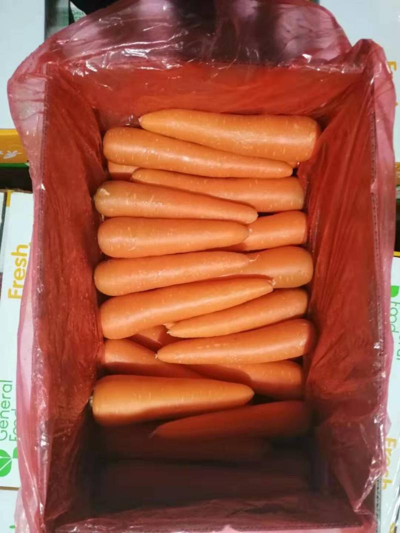 精品三红胡萝卜产地直发，，供超市出口保鲜批发市场