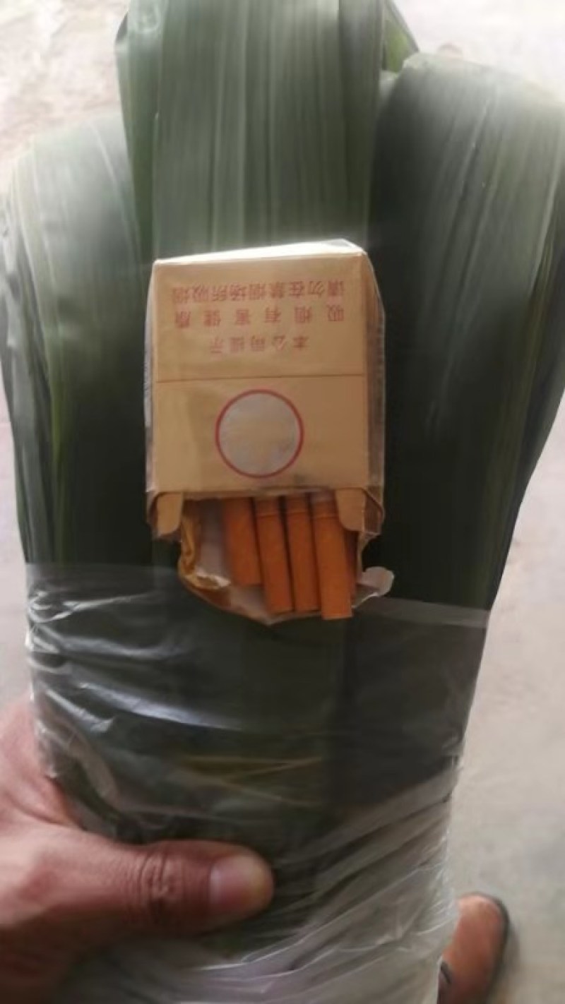 周立志大量批发潮河湾粽叶