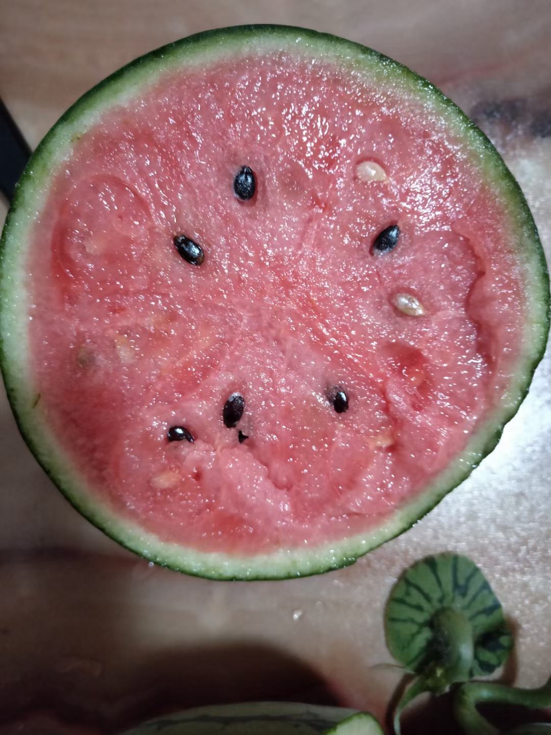 確認どうぞ♥西瓜の皮の色の斑入りです。 西瓜的皮为什么是绿色的？揭秘西瓜皮颜色背后的秘密- 一亩田