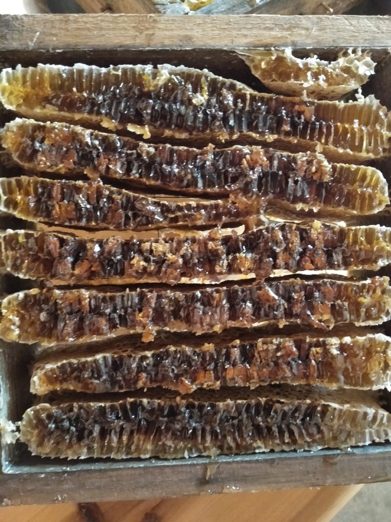 农家土蜂巢蜜瓶装巢蜜正宗纯正百花蜜自产自销房前屋后放养
