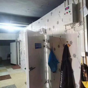 专业生产各种规格蔬菜瓜果保鲜库肉类食品冷冻库回收二手冷库