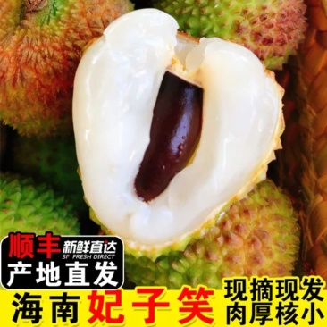 妃子笑