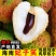 妃子笑