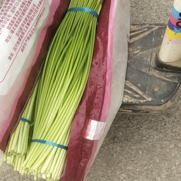 精品蒜薹大量供应，长苔，干苔80公分，产地直供。专业代发