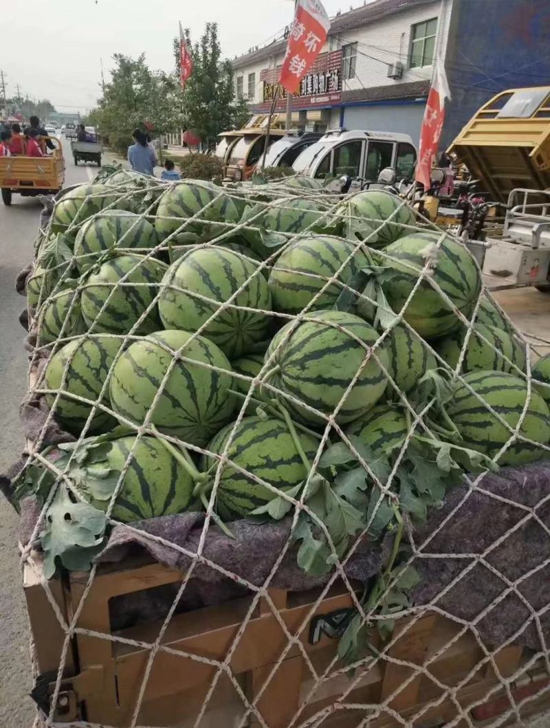 西瓜