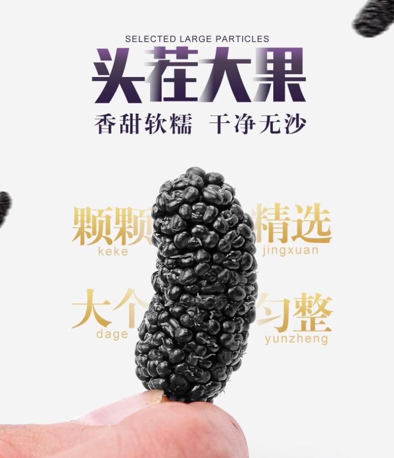 桑椹干特大果罐装头茬果2瓶1000克实惠装