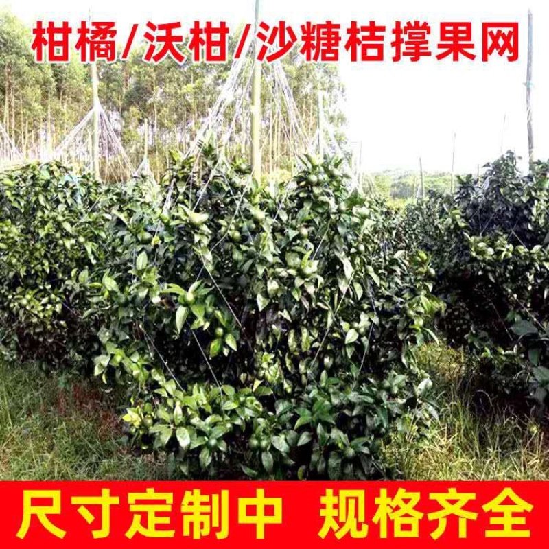 厂家直销九股拉枝网柑橘撑果网沃柑吊果网支持定做各种规格