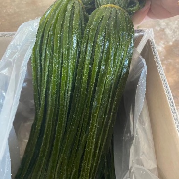 荣成盐渍海带丝净重5斤25元1箱.品质保证，欢迎选购