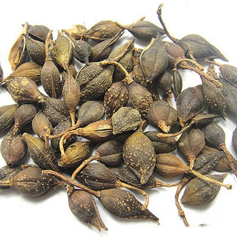 连翘水煮货青翘黄翘连量大从优一手货源