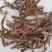 中药材石菖蒲水菖蒲量大从优批发各种中药材矿石