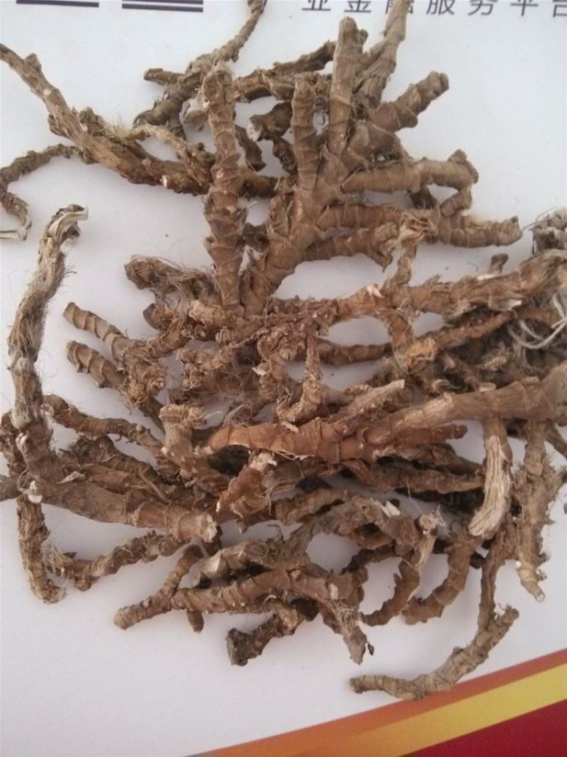 中药材石菖蒲水菖蒲量大从优批发各种中药材矿石