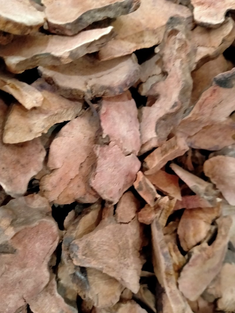土茯苓高含量，土茯苓大货批发一手货源，品质好，价格优