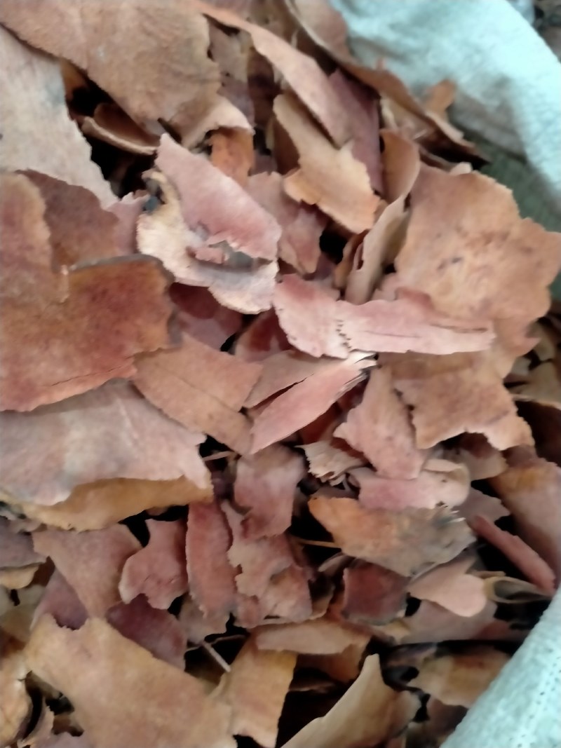 土茯苓高含量，土茯苓大货批发一手货源，品质好，价格优
