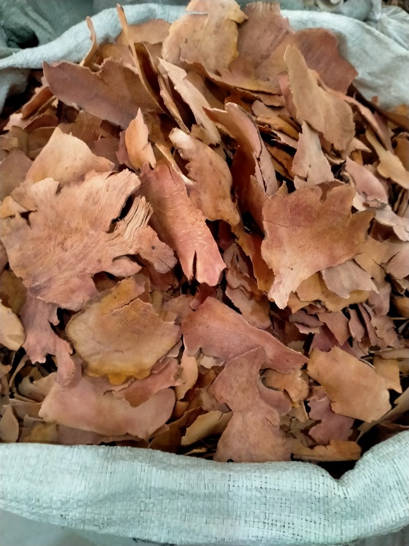 土茯苓高含量，土茯苓大货批发一手货源，品质好，价格优
