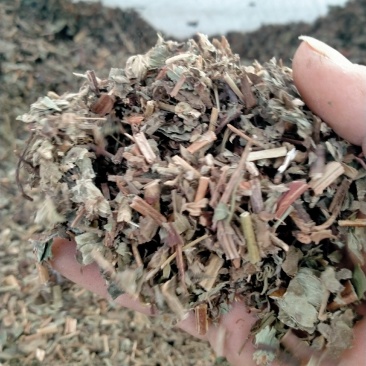 仙鹤草，大货批发一手货源产地直销，品质好，价格优