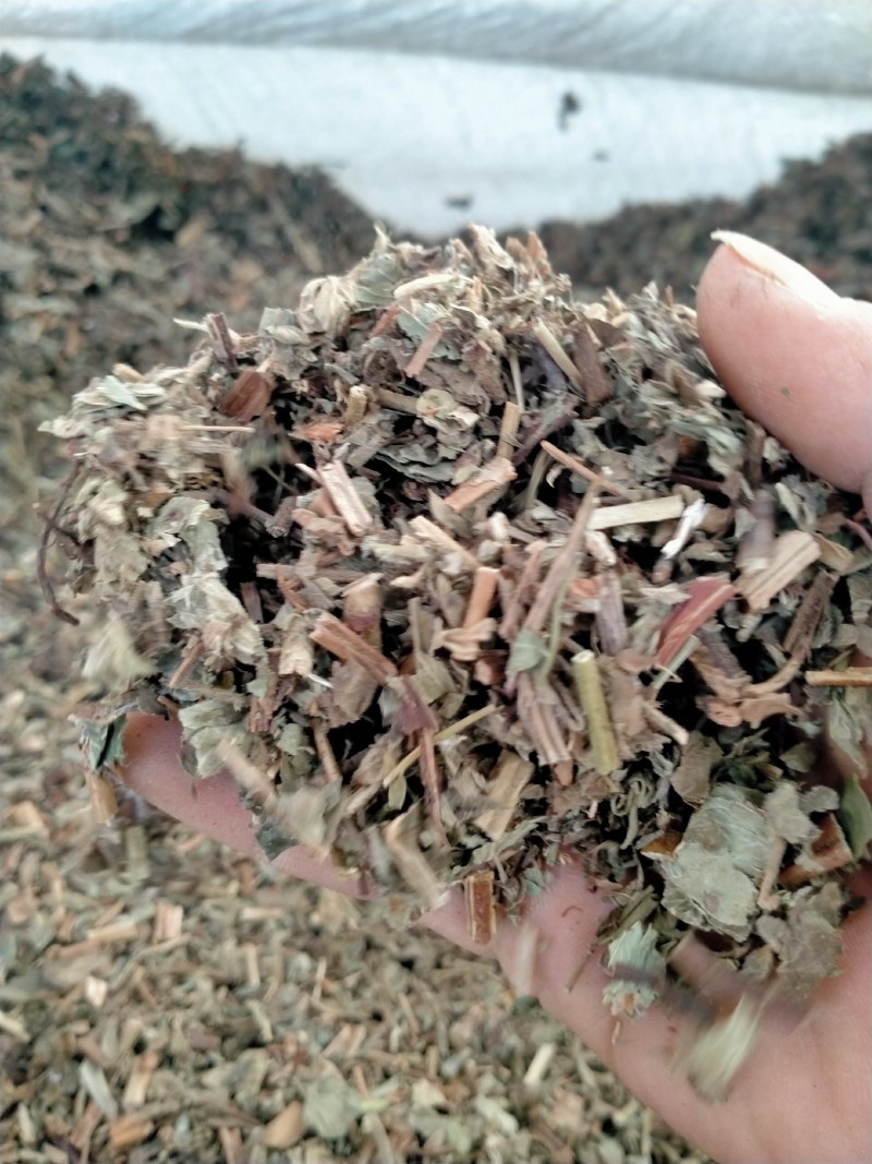 仙鹤草，大货批发一手货源产地直销，品质好，价格优