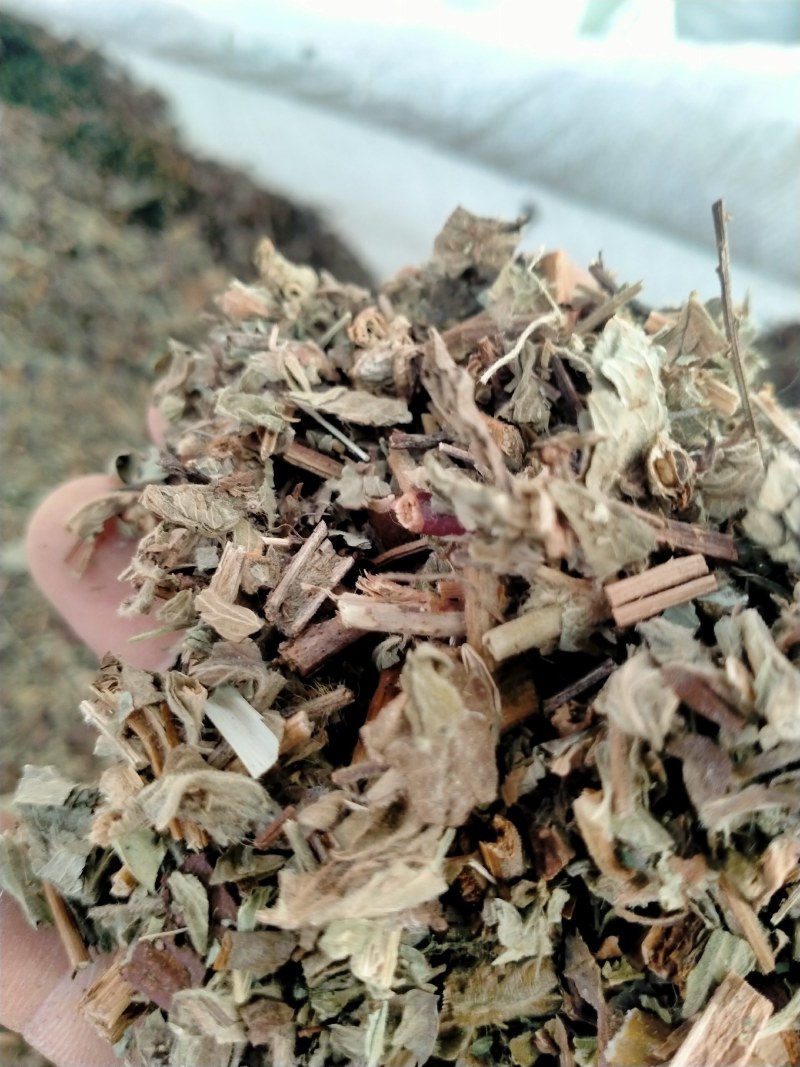 仙鹤草，大货批发一手货源产地直销，品质好，价格优