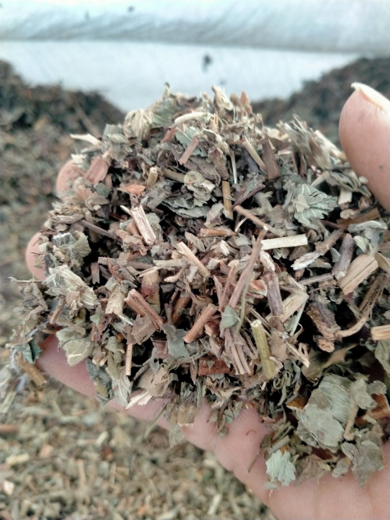 仙鹤草，大货批发一手货源产地直销，品质好，价格优