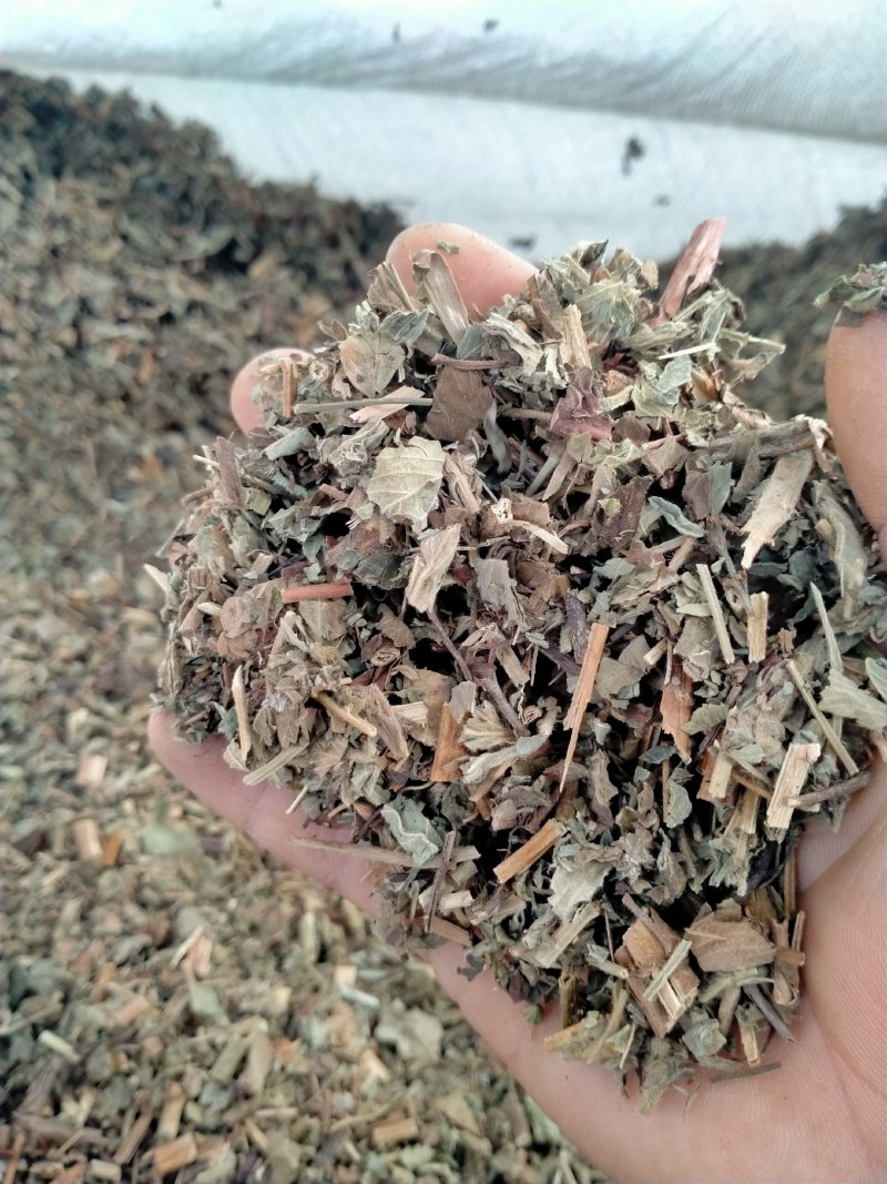 仙鹤草，大货批发一手货源产地直销，品质好，价格优