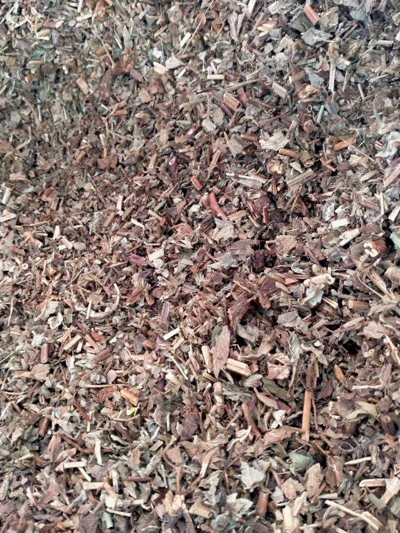仙鹤草，大货批发一手货源产地直销，品质好，价格优