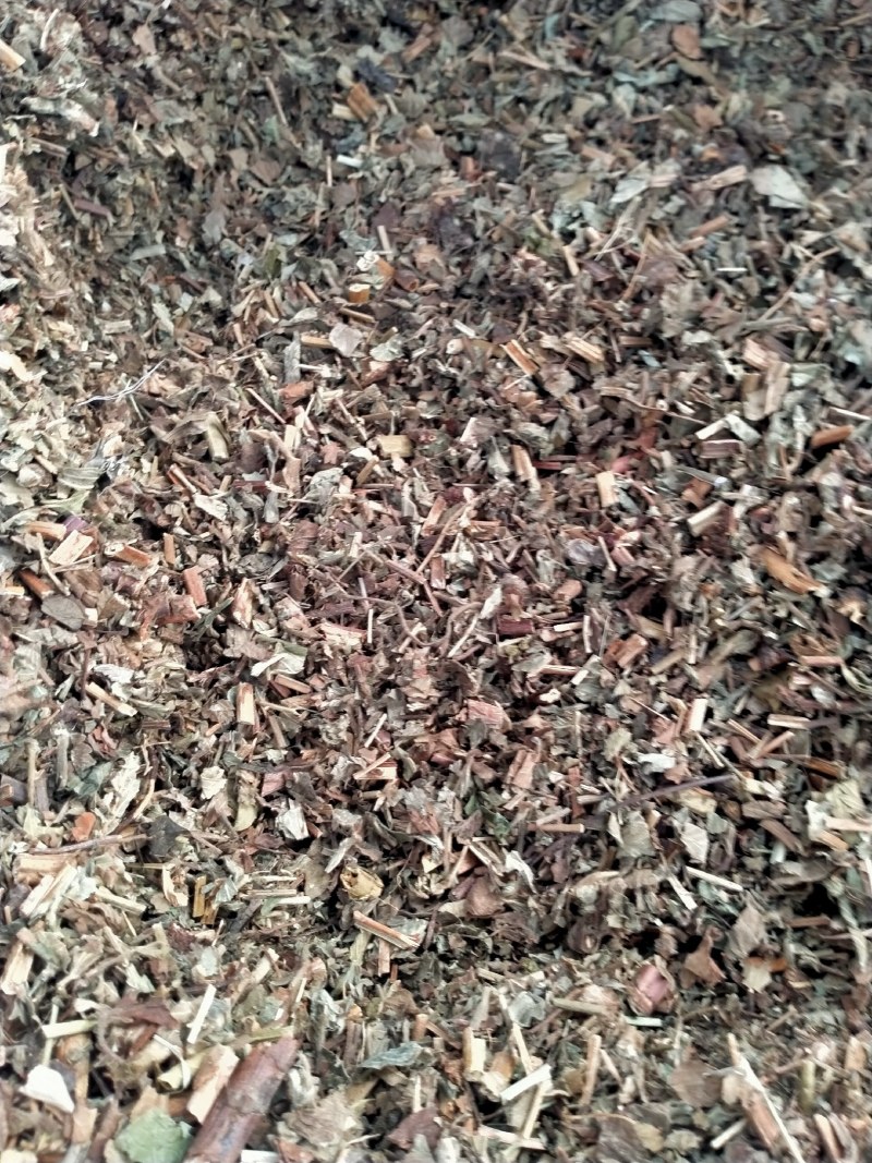 仙鹤草，大货批发一手货源产地直销，品质好，价格优